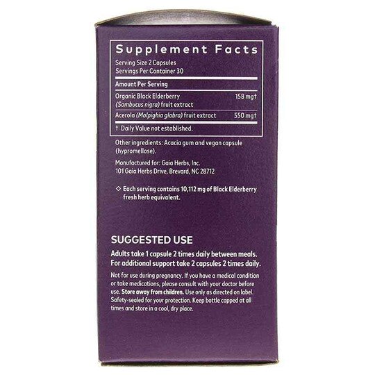 Black Elderberry, GH